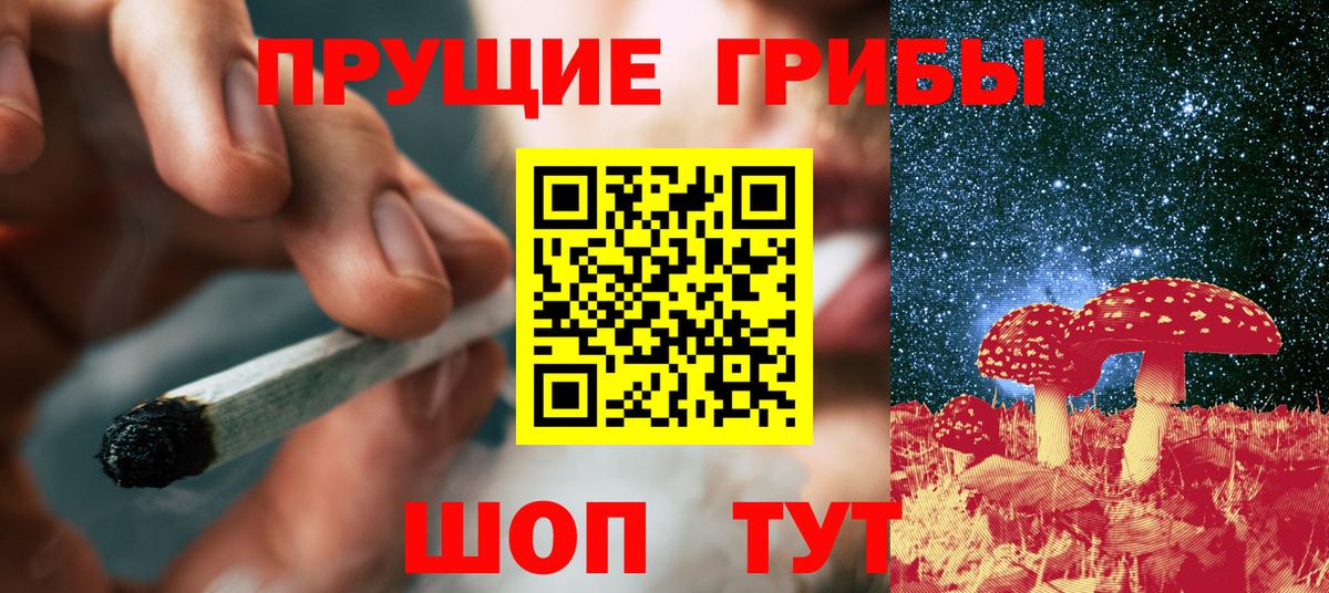 Петрозаводск  Псилоцибиновые грибы GOLDEN TEACHER  Вход с VPN 